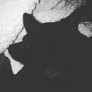 Meet your Posher, Aiyana